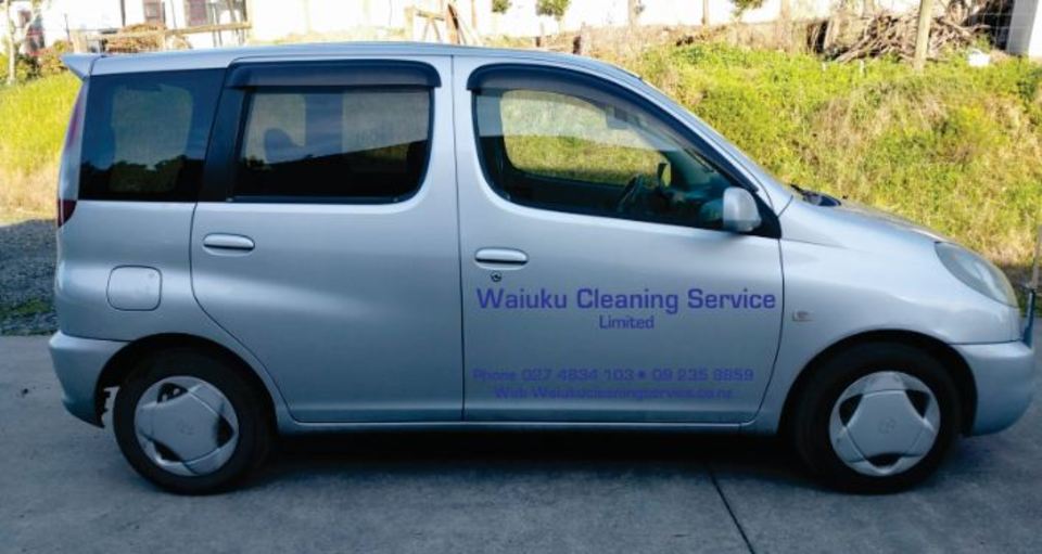Professional cleaners at work